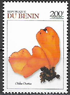 Benin č WNS BJ032.03