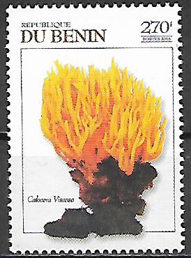 Benin č WNS BJ033.03