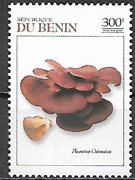 Benin č WNS BJ034.03
