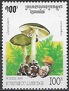 Kambodža č Mi 1503