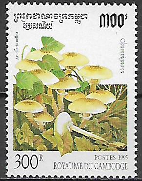 Kambodža č Mi 1505