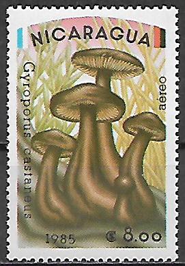 Nikaragua č Mi 2567