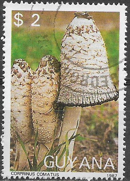 Guyana p Mi 2080