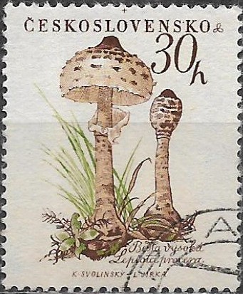 Československo  p Mi 1101