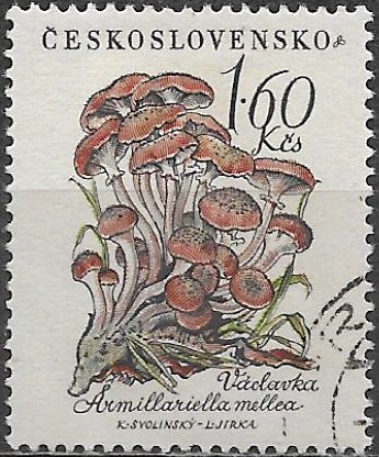 Československo  p Mi 1105