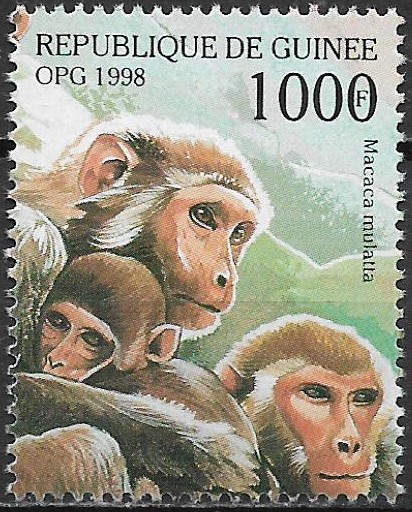 Guinea č Mi  1958