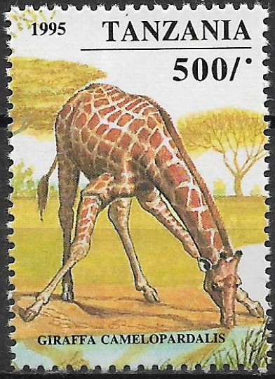 Tanzánia č Mi 2032
