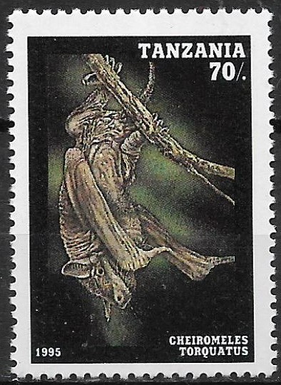 Tanzánia č Mi 2086