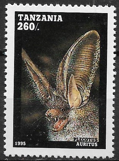 Tanzánia č Mi 2091