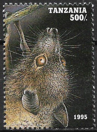 Tanzánia č Mi 2093