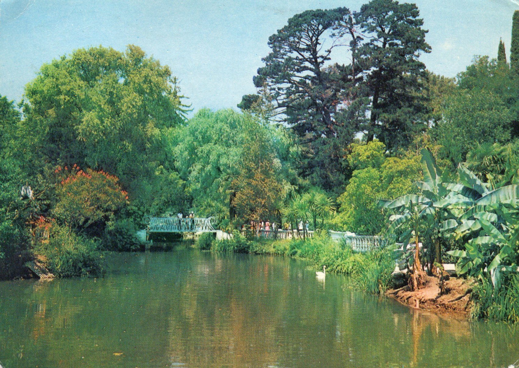 Pohľadnica  Soči, Adler