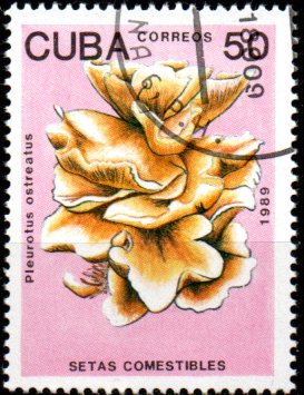 Kuba p Mi 3262