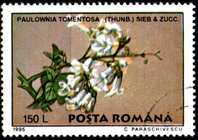 Rumunsko p  Mi 5131