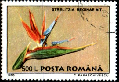Rumunsko p  Mi 5132