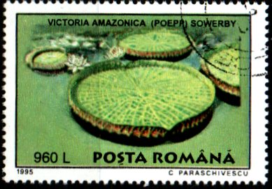 Rumunsko p  Mi 5133