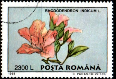 Rumunsko p  Mi 5134
