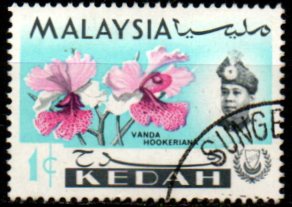 Kedah p Mi 0106
