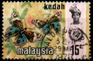 Kedah p Mi 0118