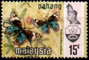 Pahang p Mi 0088
