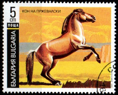 Bulharsko p  Mi 3903