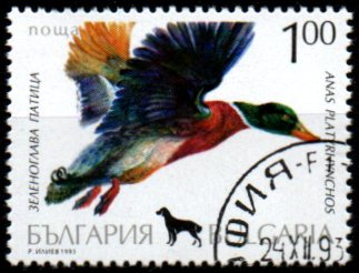 Bulharsko p  Mi 4083