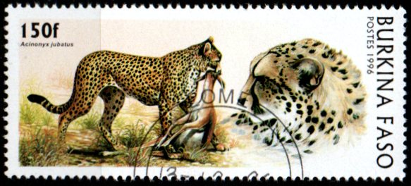 Burkina Faso p Mi 1438