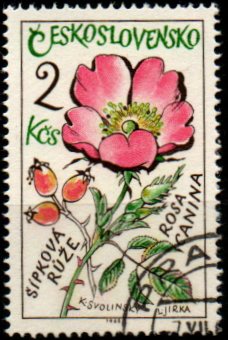 Československo p Mi 1589