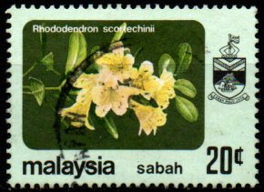 Sabah p Mi 0036