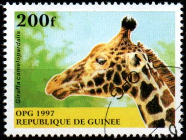 Guinea p Mi  1631
