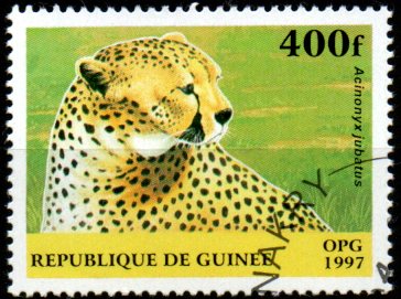 Guinea p Mi  1634