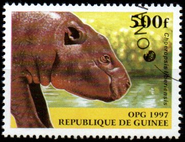 Guinea p Mi  1636