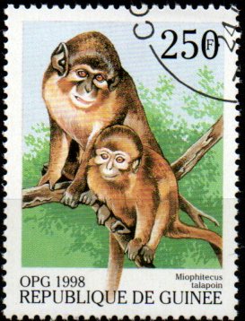 Guinea p Mi  1953