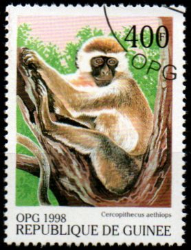 Guinea p Mi  1955