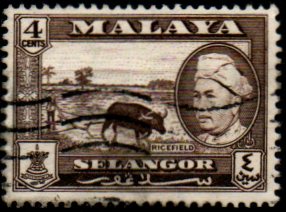 Selangor p Mi 0081