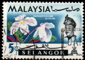 Selangor p Mi 0100
