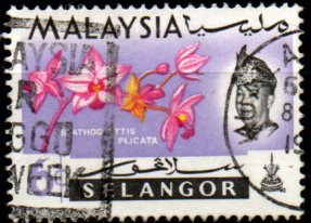 Selangor p Mi 0101