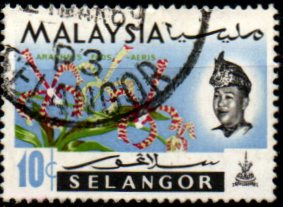 Selangor p Mi 0102