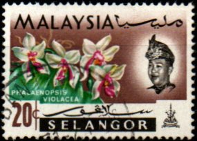 Selangor p Mi 0104