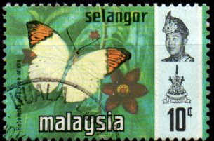 Selangor p Mi 0109