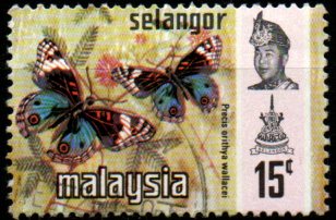 Selangor p Mi 0110