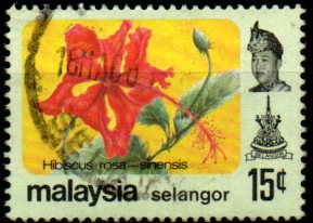 Selangor p Mi 0116