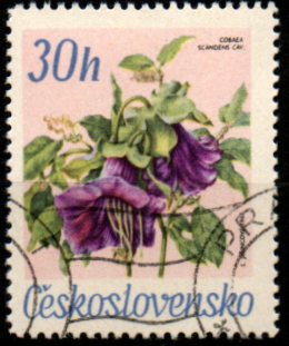 Československo p Mi 1725