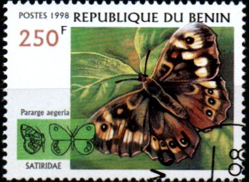 Benin p Mi 1073