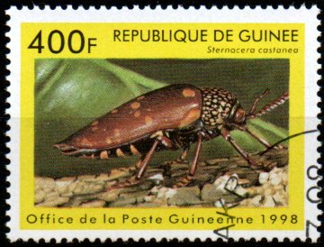 Guinea p Mi  1897