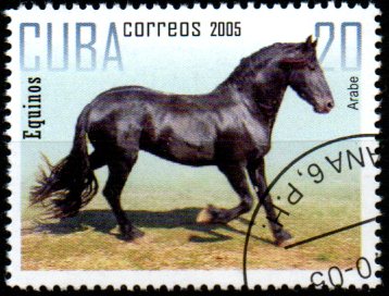 Kuba p Mi 4736