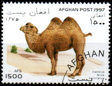 Afganistan p Mi 1717