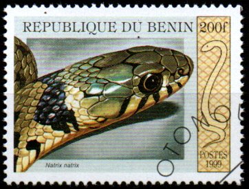 Benin p Mi 1179