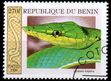Benin p Mi 1180