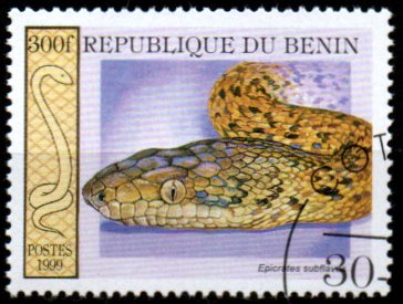 Benin p Mi 1181