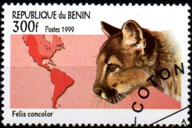 Benin p Mi 1196